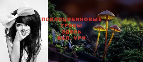 прущие крисы Нязепетровск