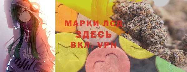 PSILOCYBIN Горнозаводск