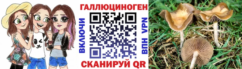 Галлюциногенные грибы Psilocybine cubensis  купить закладку  Кимры 