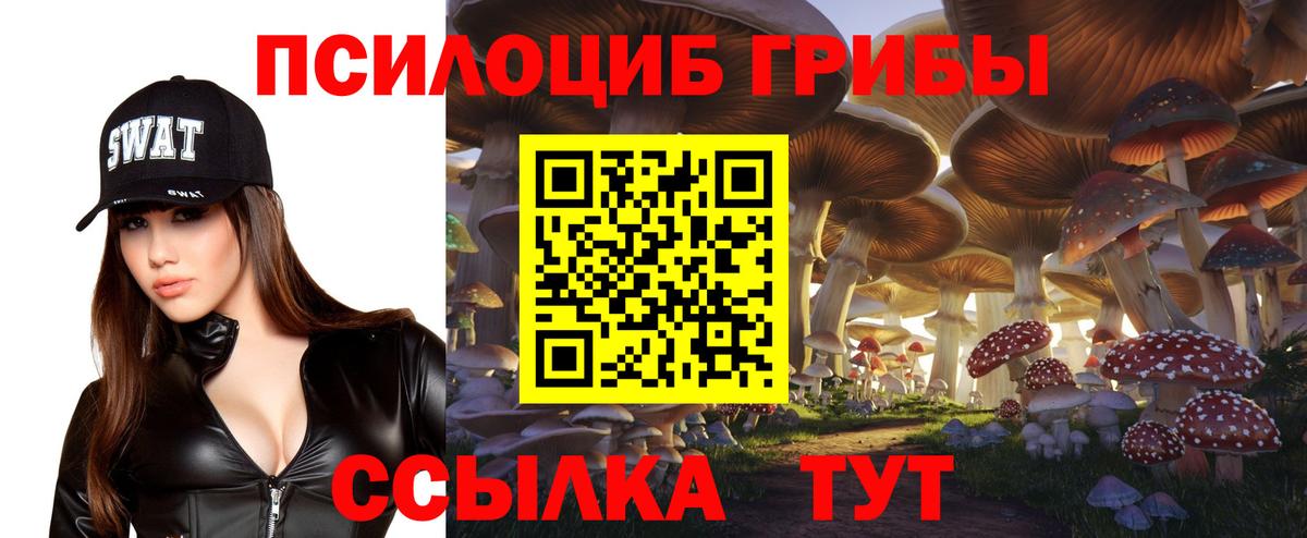 Псилоцибиновые грибы ЛСД Кимры